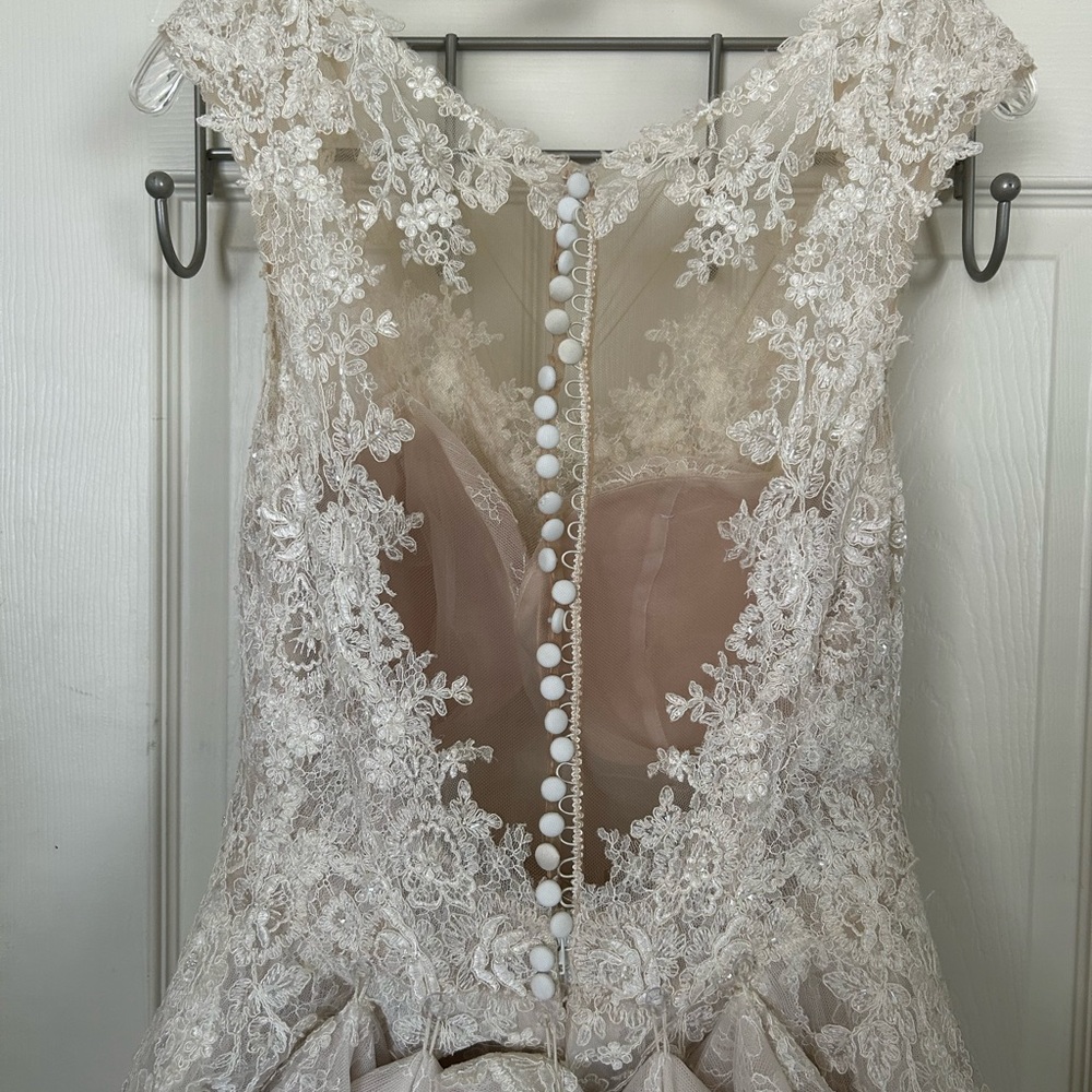 Essence of Australia Elegant Lace Wedding Dress in White - Picture 8 of 9